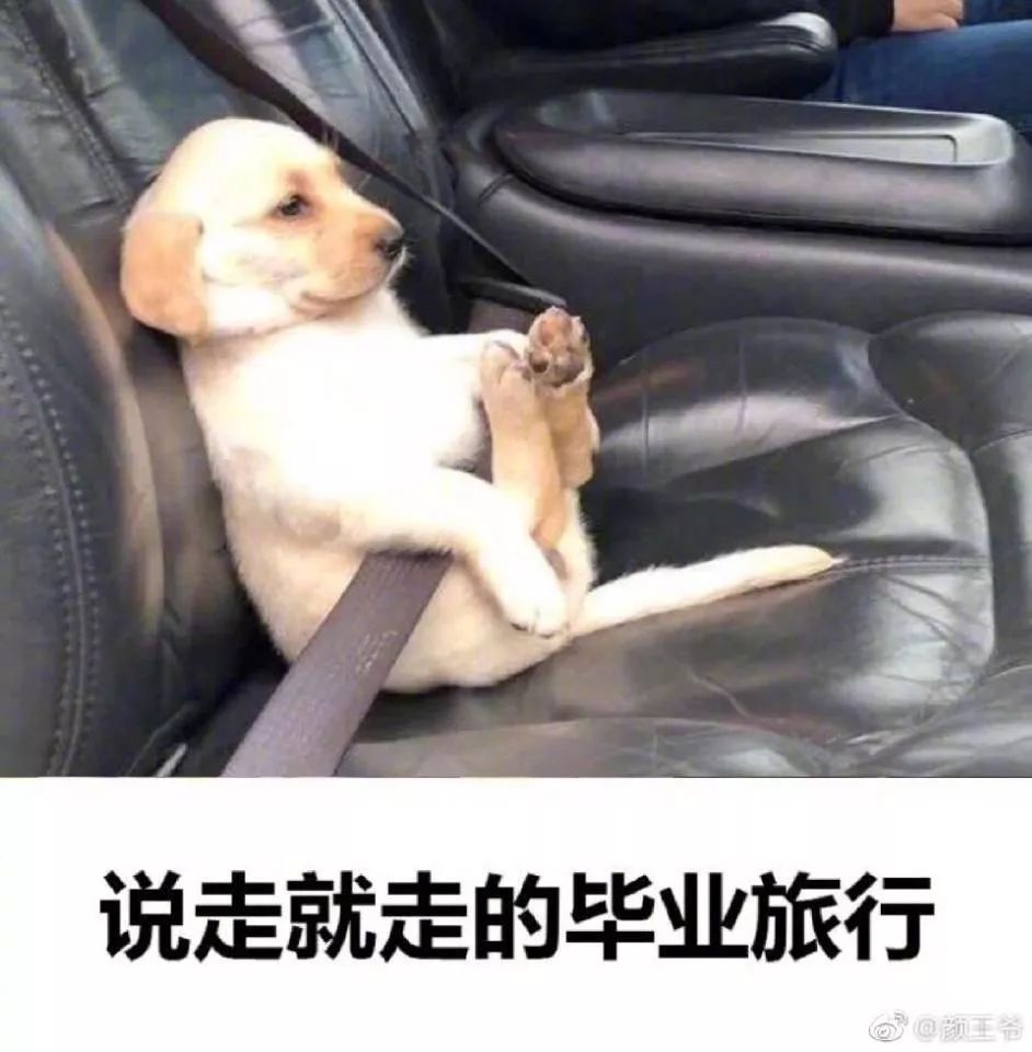 高考完的第一天你在做什么?(内含彩蛋)