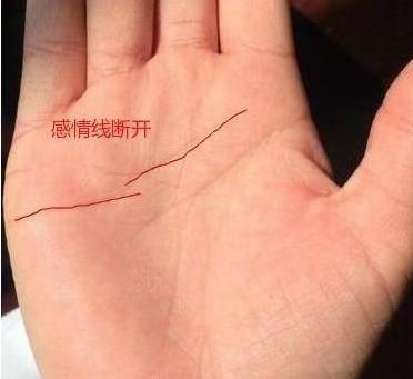 感情线上有岛纹,十有八九会离婚的手相