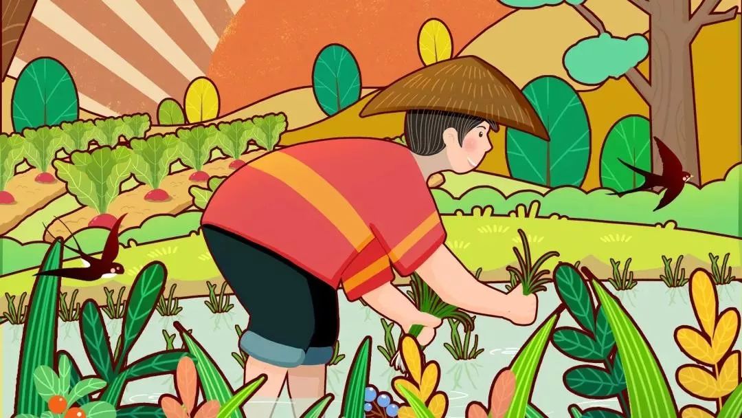 "六一"儿童节在崇明的东禾九谷开心农场举办了"小小插秧手"活动,活动