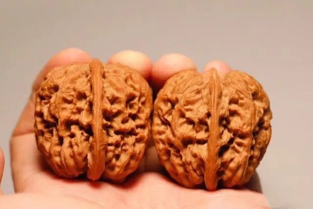 核桃送礼有什么讲究