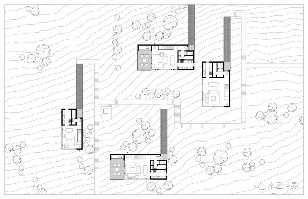 地平线社区雪山顶的雪松小屋集群