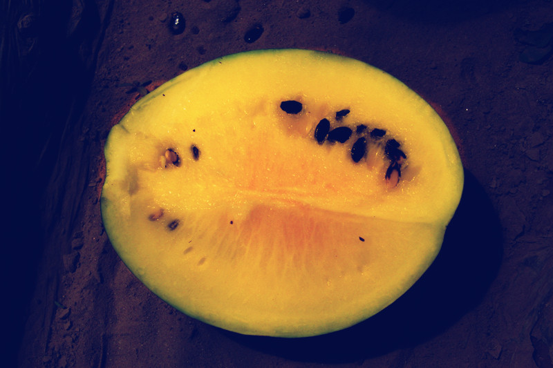 生鲜电商破千亿规模,米瓜跑完整个供应链,获各大平台订单