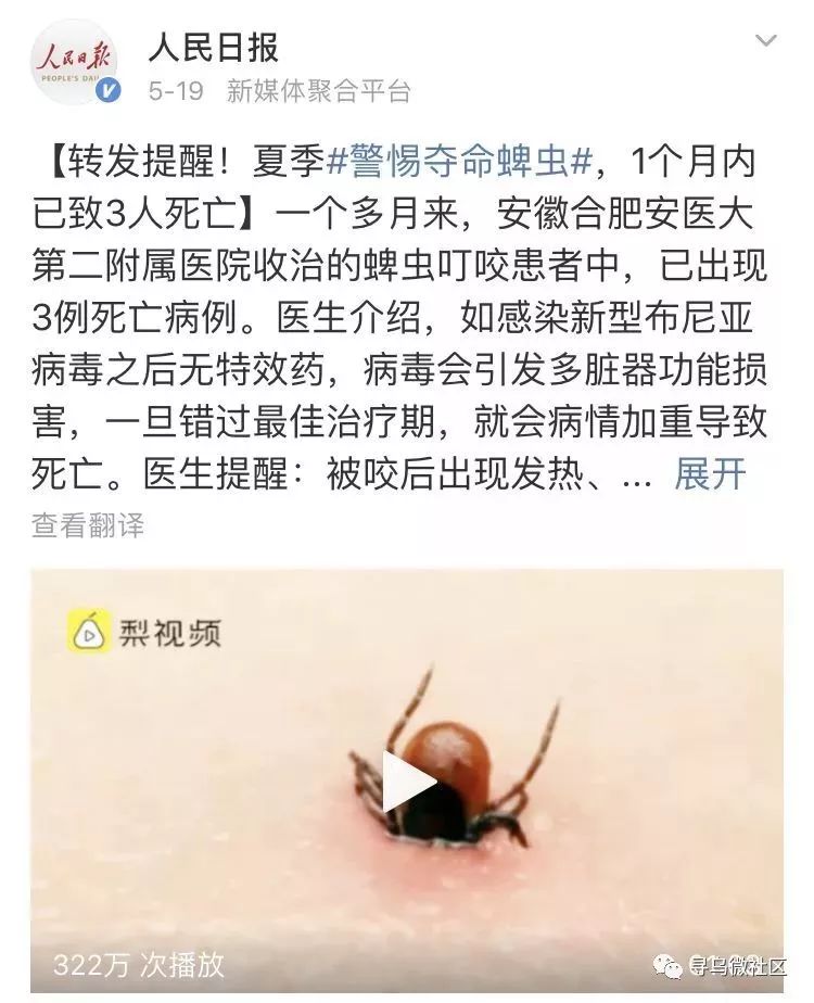 带娃出门千万警惕夏日"夺命蜱虫"!