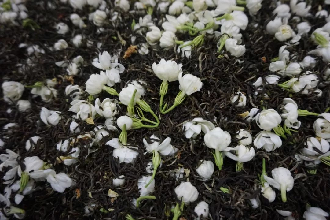 我市花茶制作技艺福州茉莉花茶窨制工艺入选国家级非遗代表性项目保护