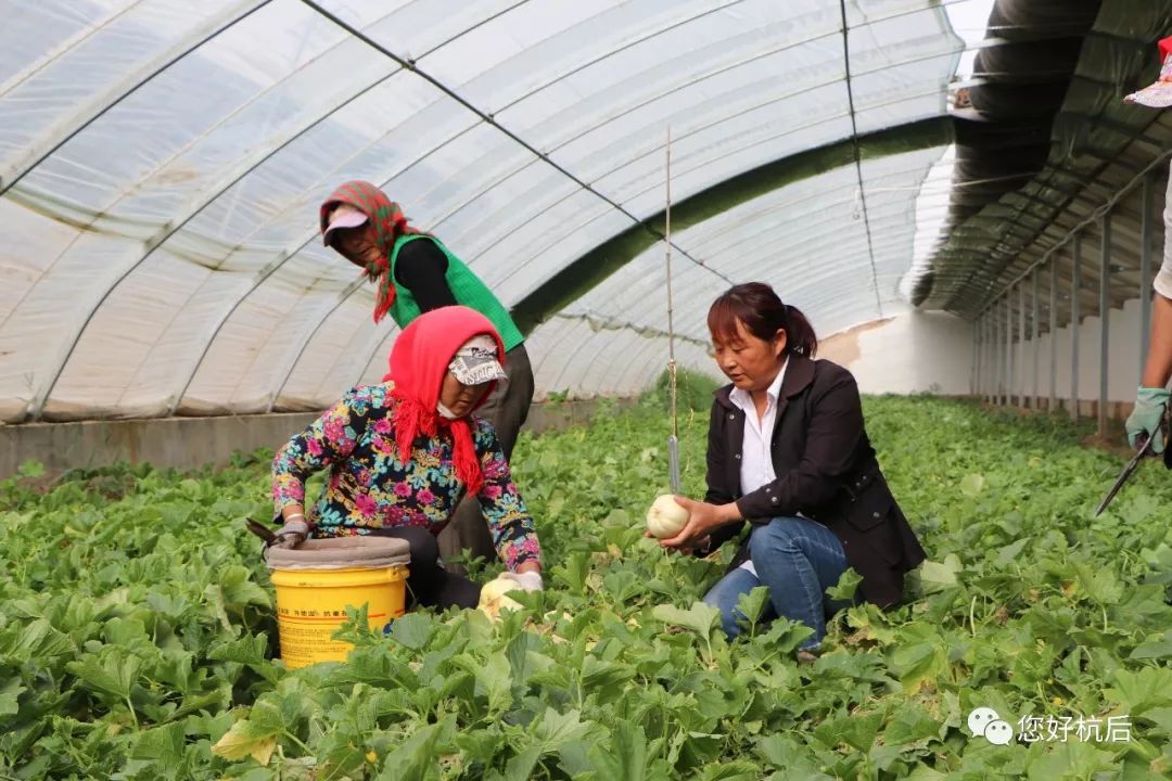 精巴媳妇石小燕成功转型职业经理人