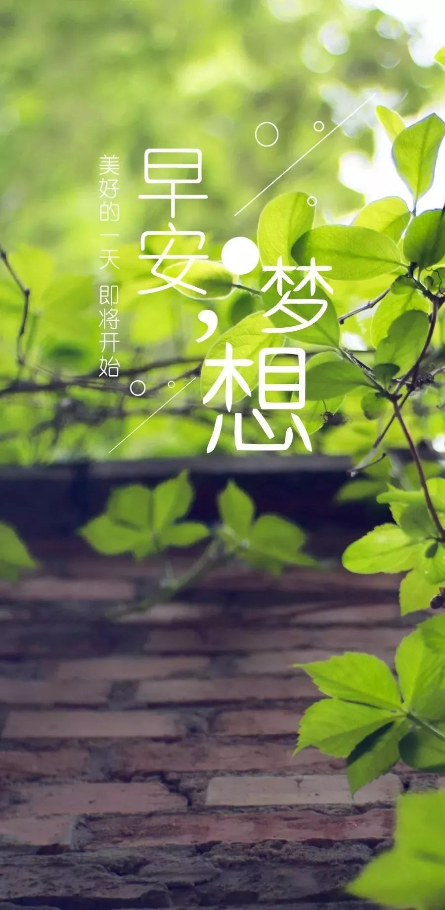 end -今日好文『清晨●』早安晚安精彩语录,带给