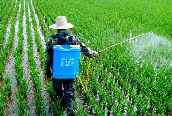 这样打农药,少花冤枉钱!