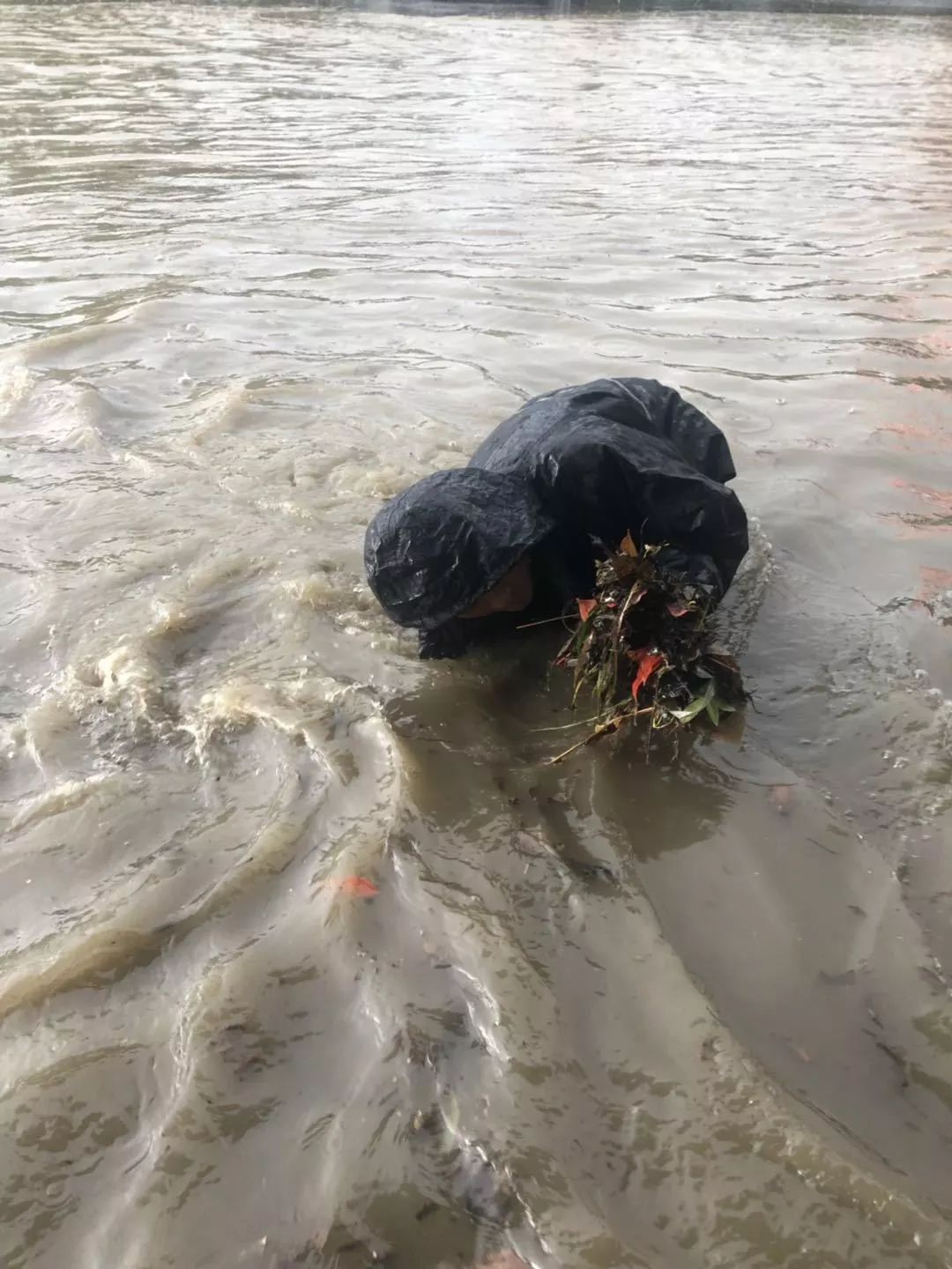 高考結束突降暴雨桃江縣城瞬間看海