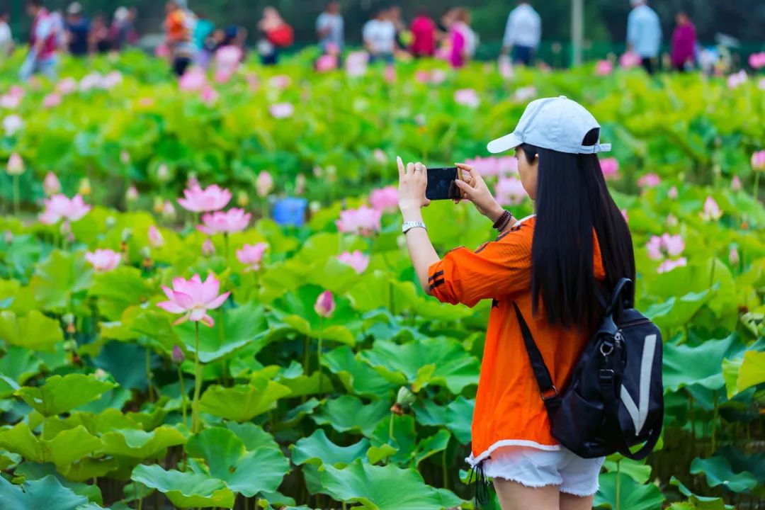 端午假期余额不足,家门口的这些景点也能嗨翻天!