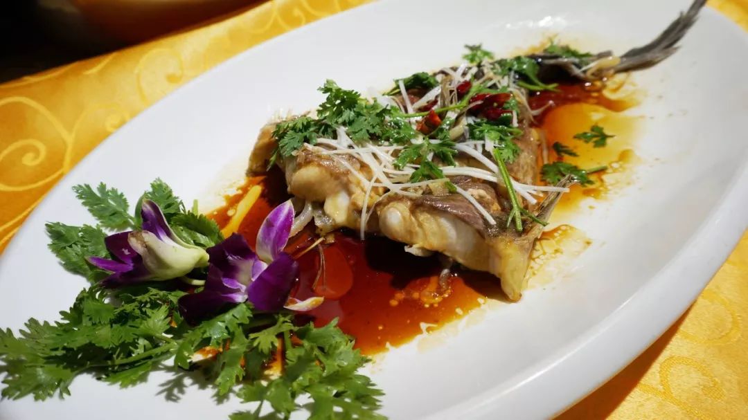 5折一鱼成席国宴级别的鱼你吃过没