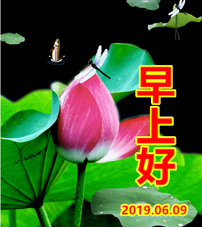 早上好!愿夏日安好,开心一夏!