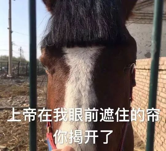 下(图片来自weibo,版权归原作者所有)(文末有独家福利,别走开)这年头