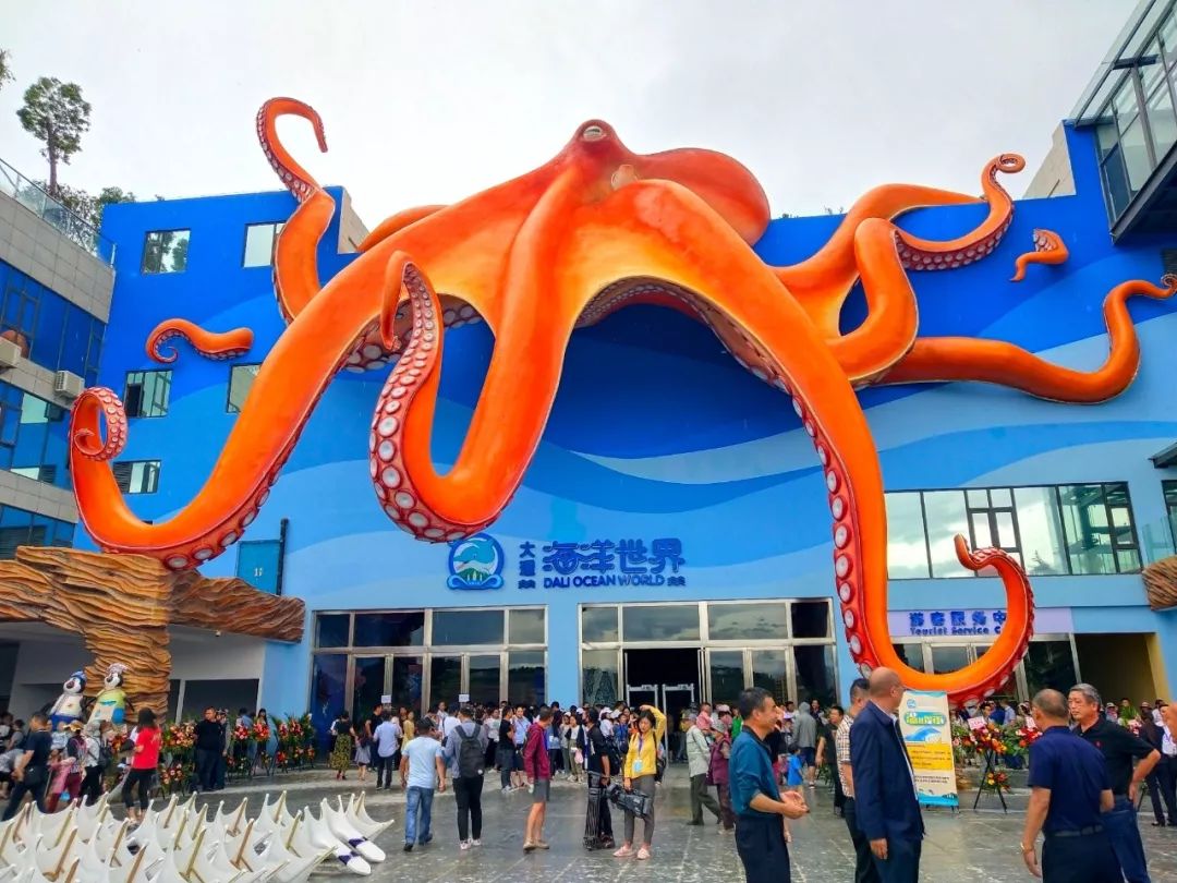 大理首个海洋馆正式开馆新玩场亮点多多
