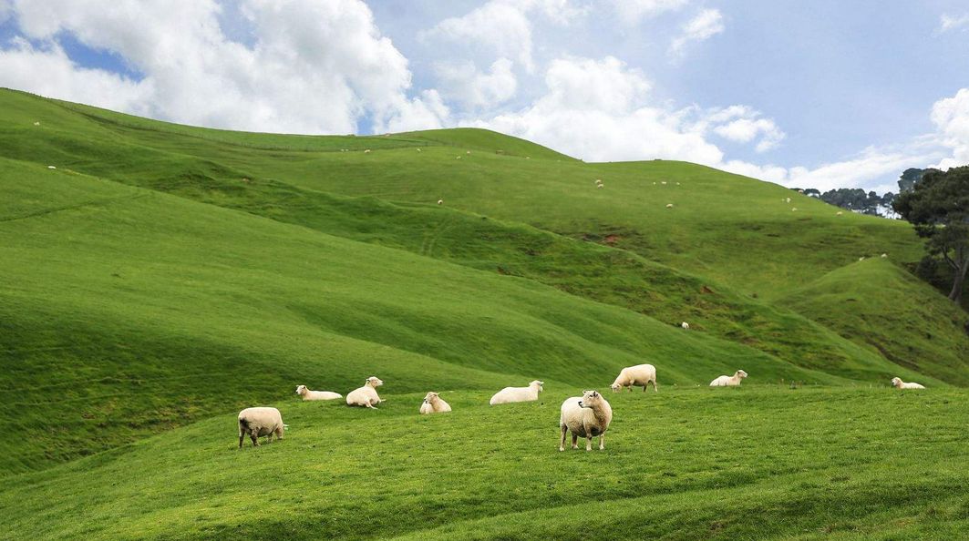 agricultureecosystemsenvironment轻度放牧有利于水土保持和减少co2