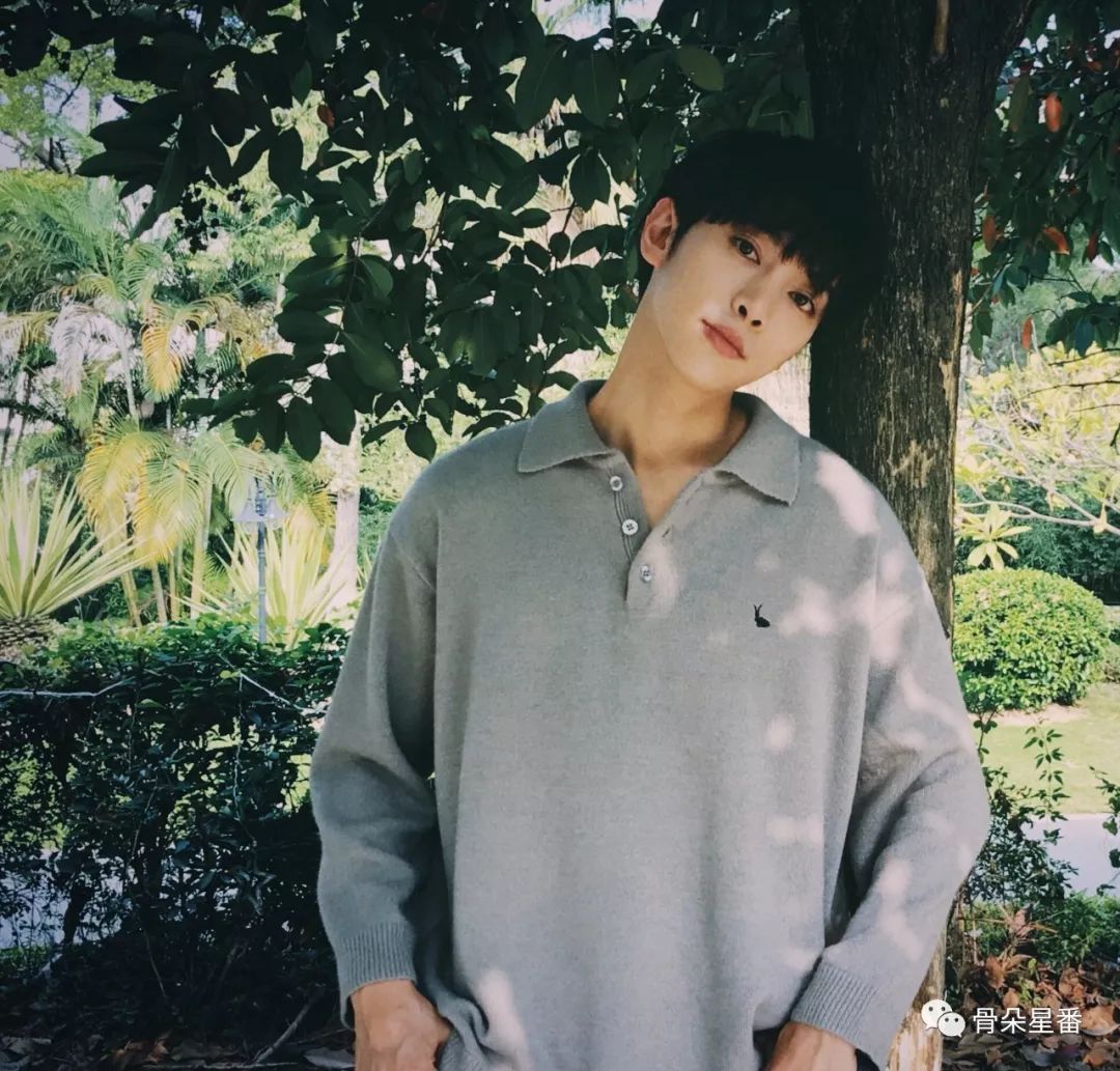 荐咖丨徐可用大宋北斗司白发刷屏上半年青春剧常客还有多少可能性