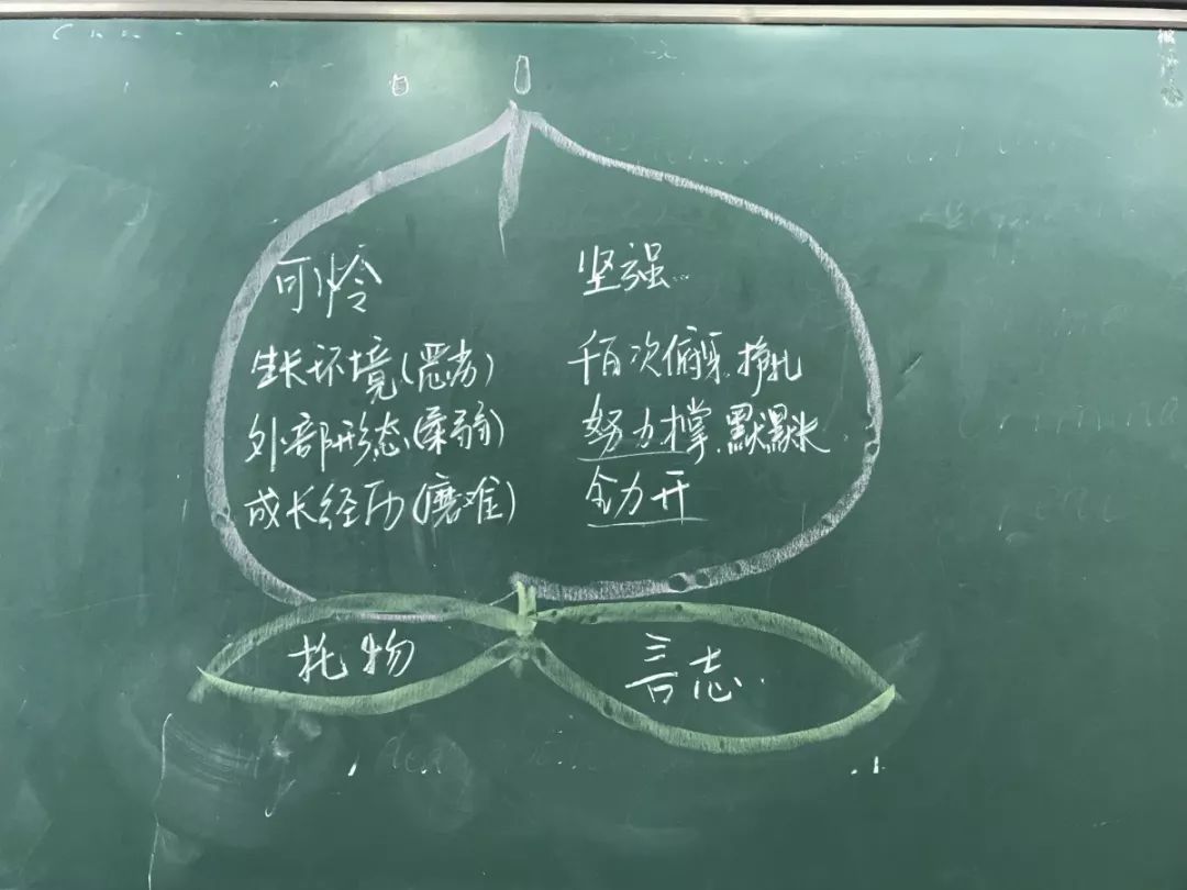 杨蕊老师这是一篇托物言志的散文,文章中叙述了小桃树的身世