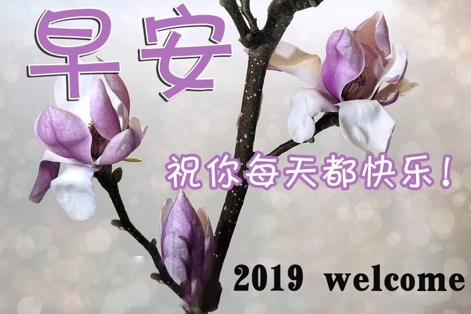 早上好表情祝福語早上問候動態圖片