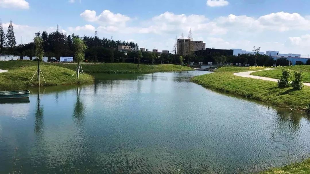 從黑臭水體到治水樣板周市珠涇中心河治水攻堅記