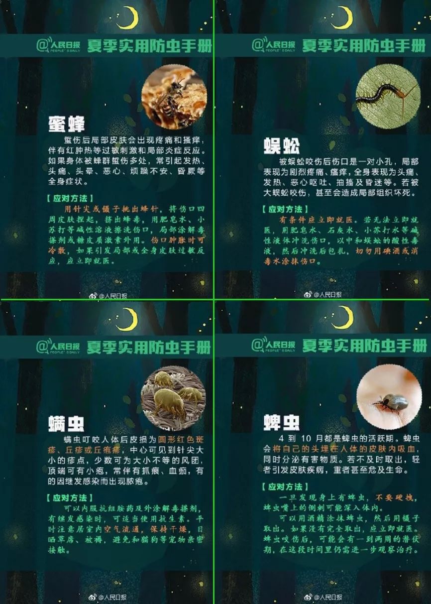 还有0995一份夏季防虫手册奉上可能感染多种疾病一些不太友善的虫
