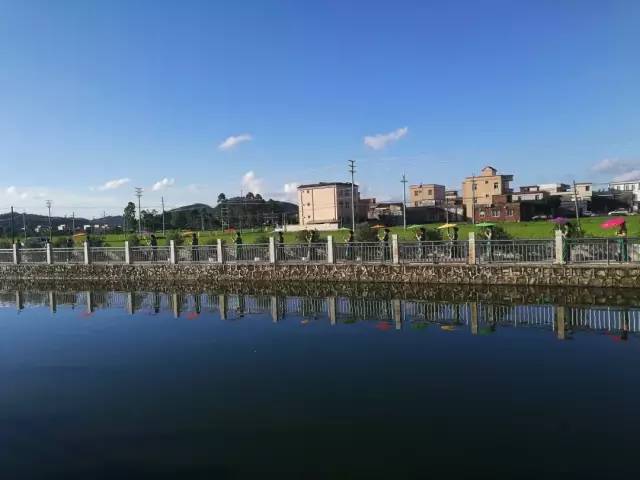 北陡镇这条村的赛龙舟有独特的玩法来看看今年的盛况吧