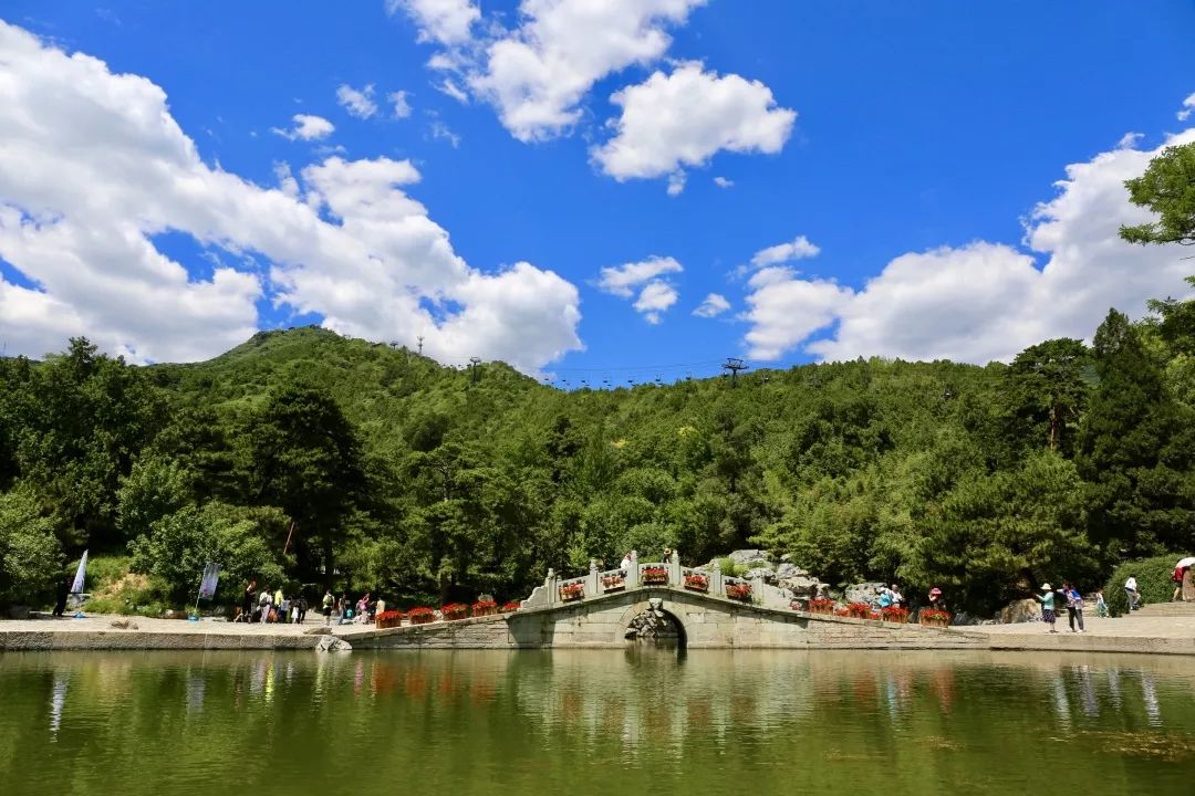 静宜游园端午安康