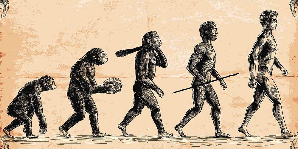 原创最早提出进化论的不是达尔文,而是中国的庄子,二者相距2000多年