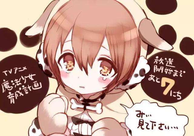 魔法少女育成计划