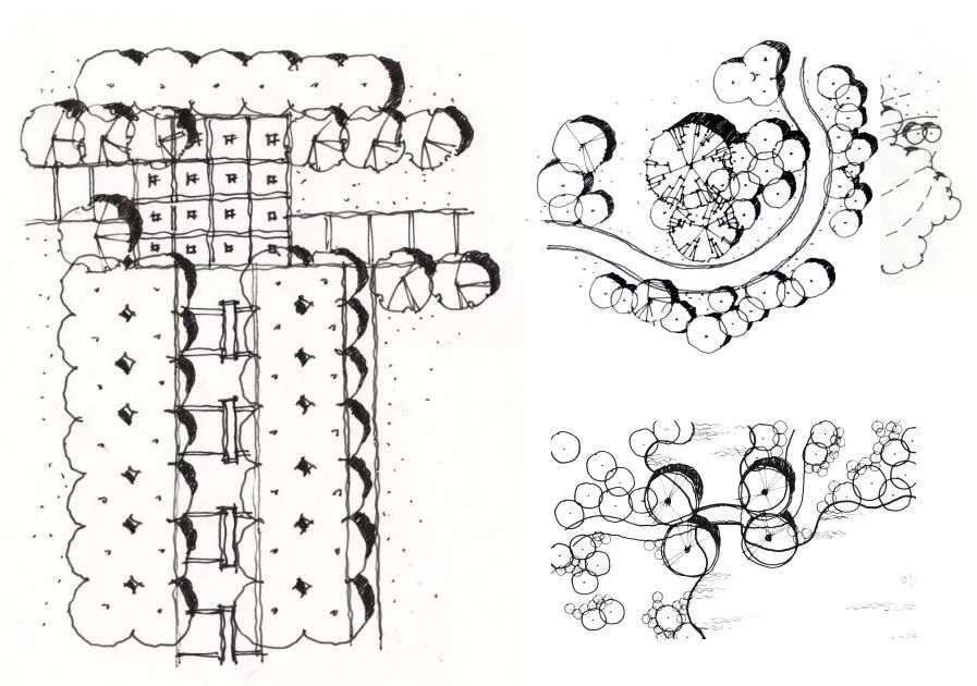 景观规划设计快题设计方法空间细化与植物配置篇
