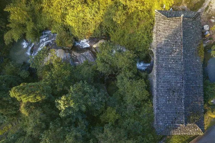 震撼千年古镇龙舟赛热闹非凡