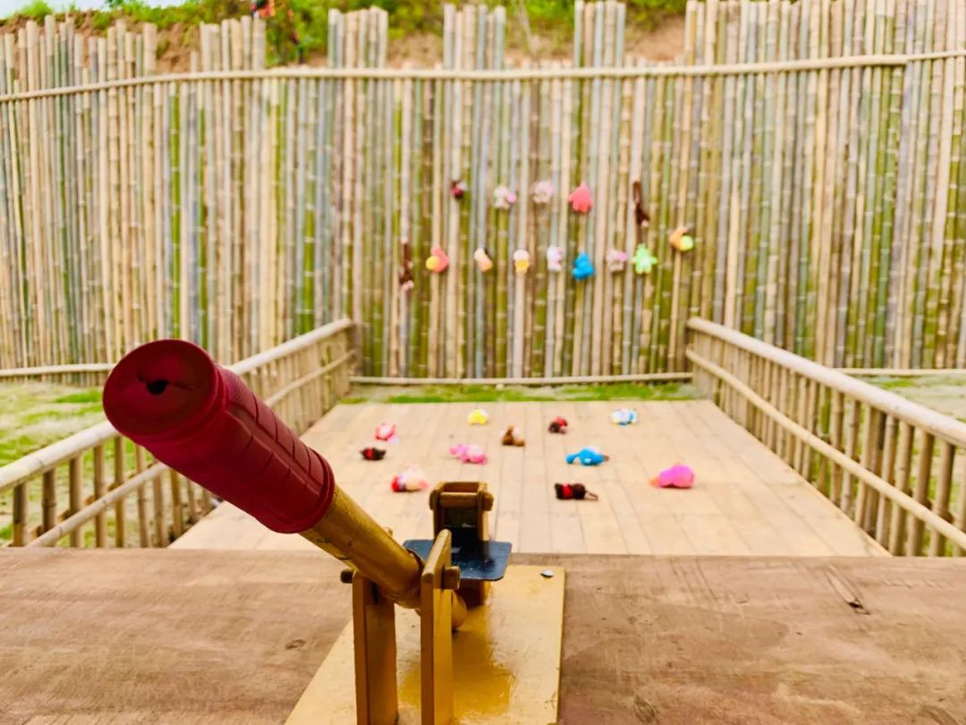 还有机会发现某个小角落里藏着一只被困的野鸡来一次现场大营救除了