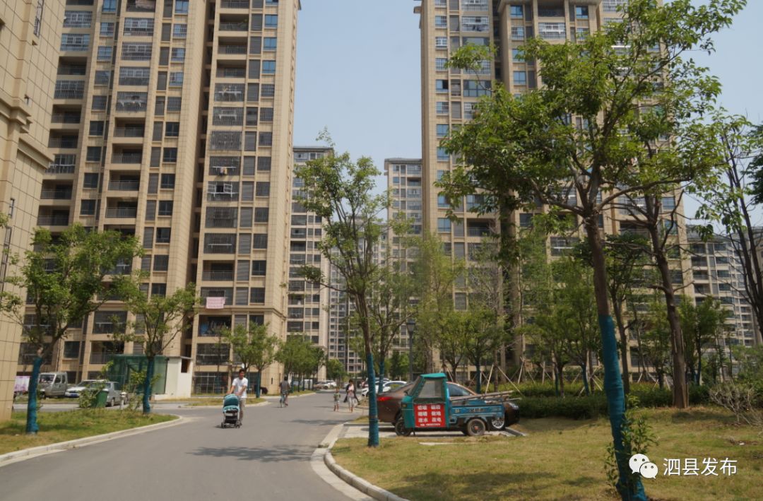 头条| 11518套棚改房,扮靓新泗县,点亮新生活!_改造