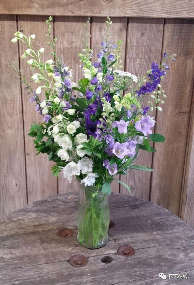 宫崎骏也爱的风铃草适合这个夏天