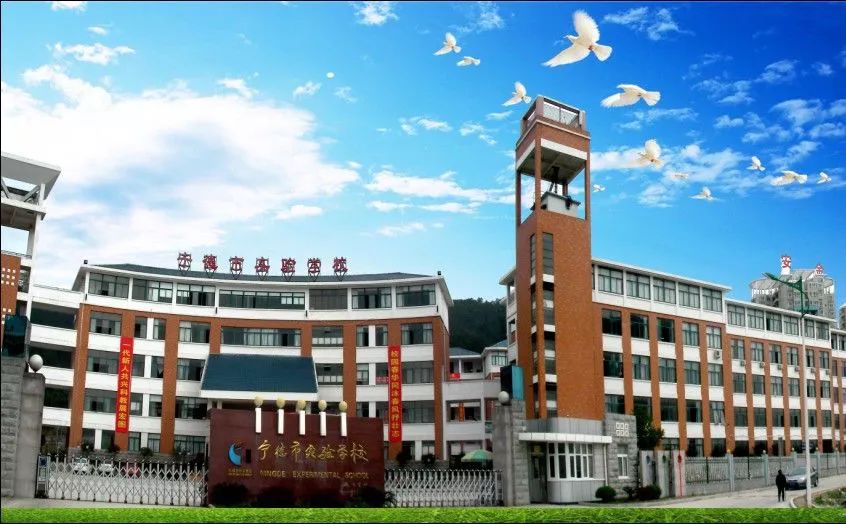 你宁德2019年中小学片区划分快看你家孩子能上哪所学校