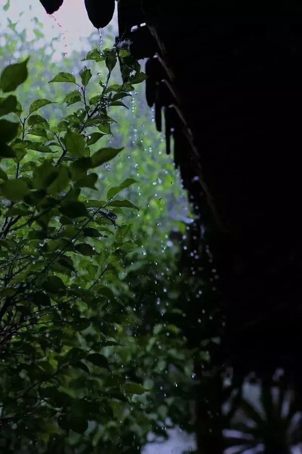 夜雨霖铃因雨而思随雨而想