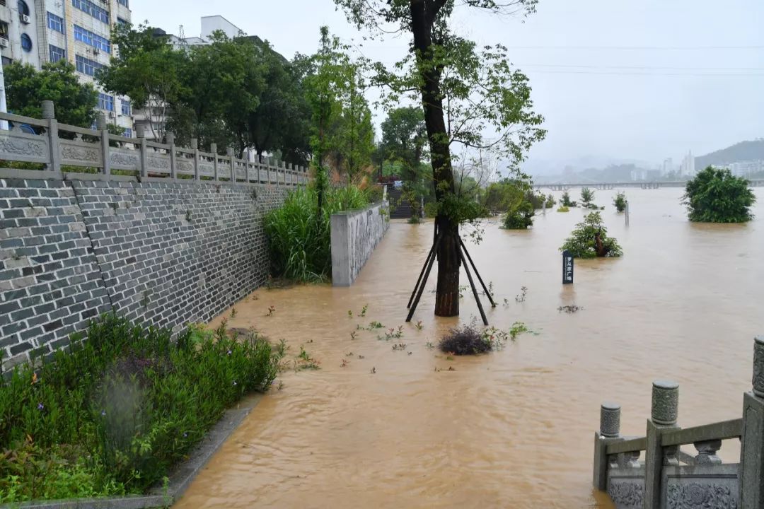 沙溪河水猛涨沙县大洲村民家中受灾抗洪救灾全面展开