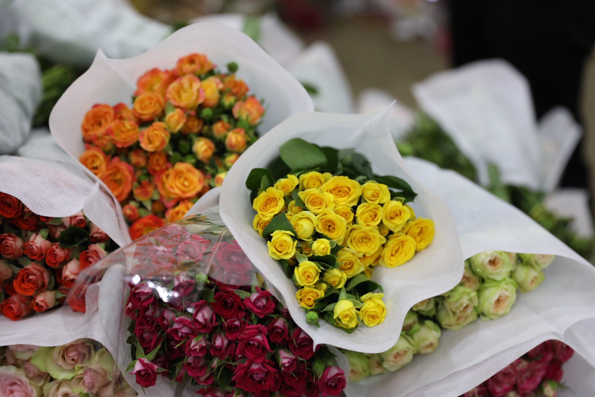 原创云南斗南花卉市场——鲜花价格论斤卖,一大束玫瑰只要几元钱