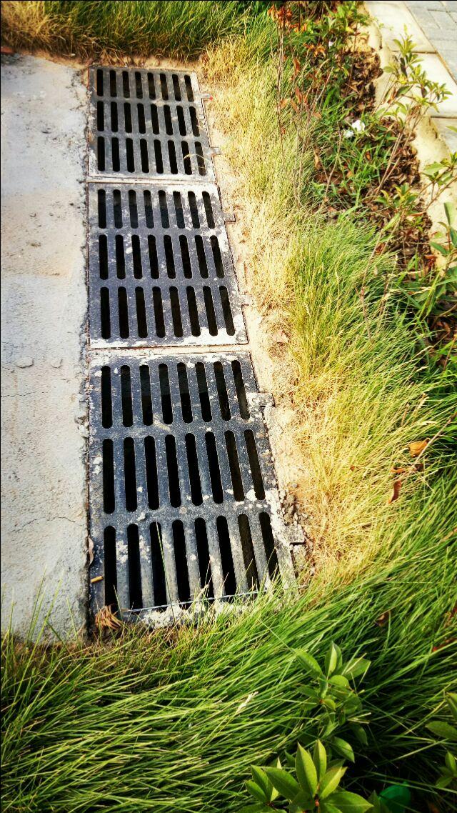 洛阳新马路上的窨井篦子开始惹人喜爱