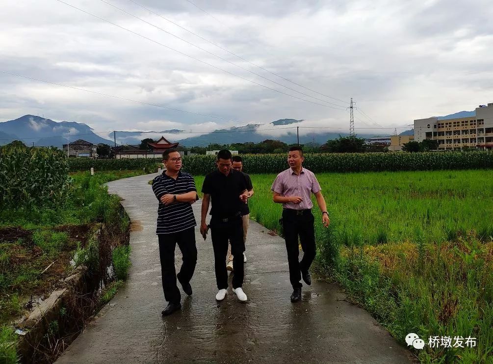 随后前往蔬菜种植户丁学涨的承包地,详细了解了种植情况和收入情况.