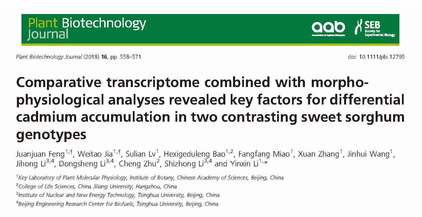 revealed key factors for differential cadmium accumulation in