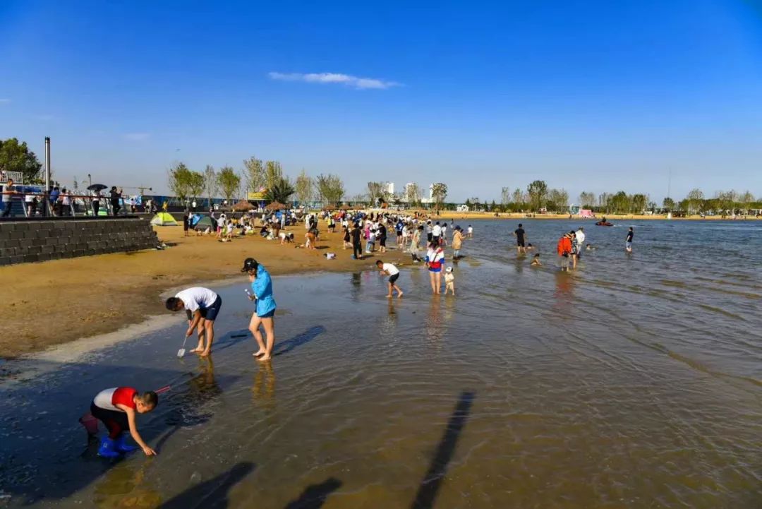 端午小長假曹妃甸成新網紅打卡地龍島多瑪樂園海濱溼地各景區空前火爆