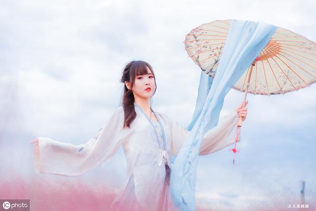 琵琶呼大雁,束翅落平沙. 肝肺牵庭暖,肢身系万家.