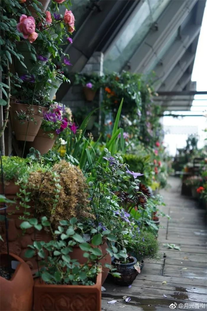 2017月光香榭空中花园