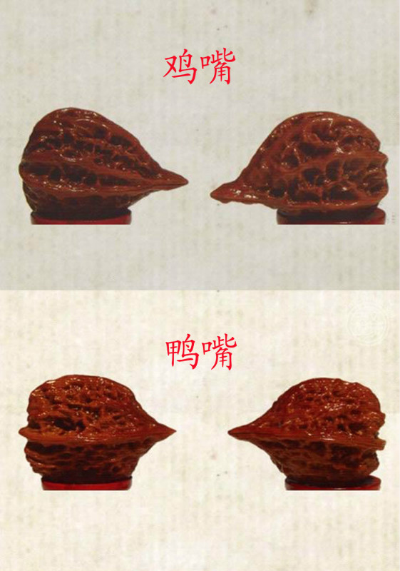 文玩核桃的种类图鉴