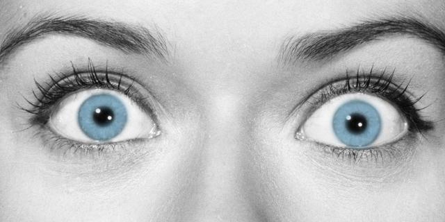 动物的眼睛为什么没有眼白?