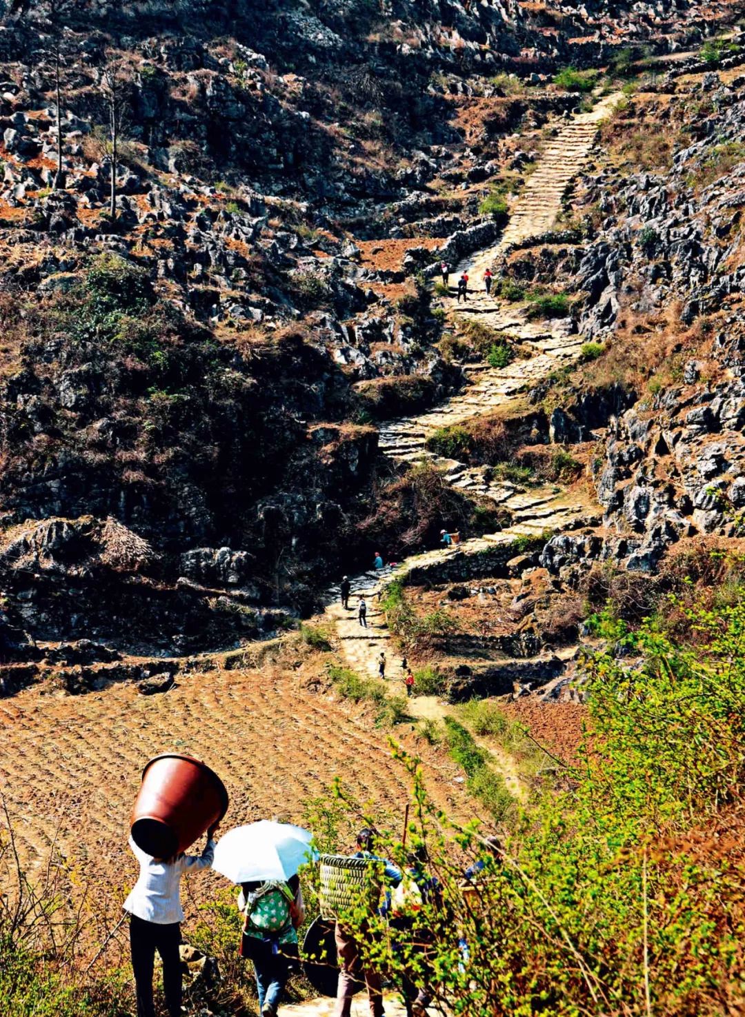 黔西南丨四球古茶与南方茶叶之路