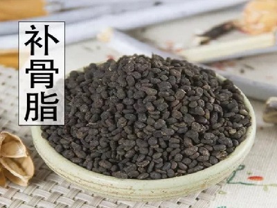 补骨脂是豆类植物补骨脂的果实,属于一年生草本类植物,树枝坚硬,有纵