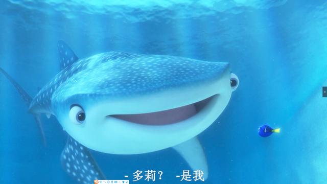 海底总动员2那只高度近视的可爱鲸鲨