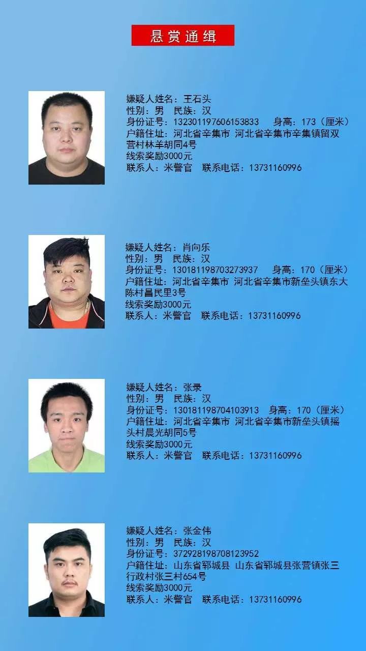 王琦石家庄 老六图片