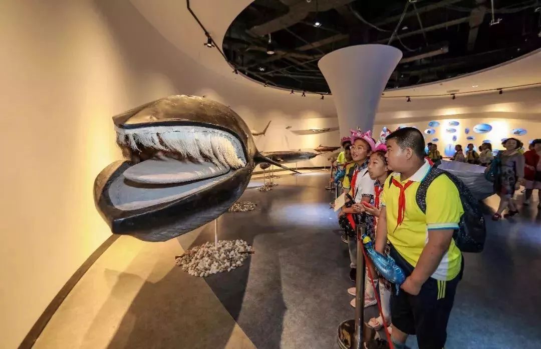 6月8日,正值世界海洋日,荣成市海洋食品博览中心以"珍惜海洋资源 保护