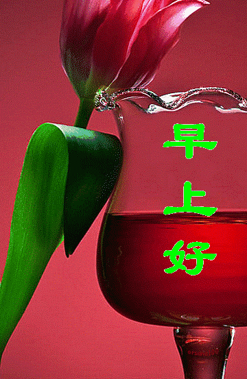 最新版早上好祝福语2019早上好问候语表情图片